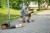 9701a00bd0fa48dda6176d4ff7818df9.jpg