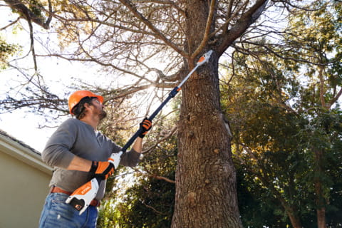 HTA 50 Stihl.jpg