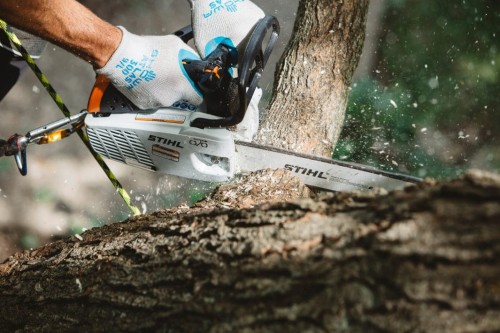 ms-194-T-stihl.jpg