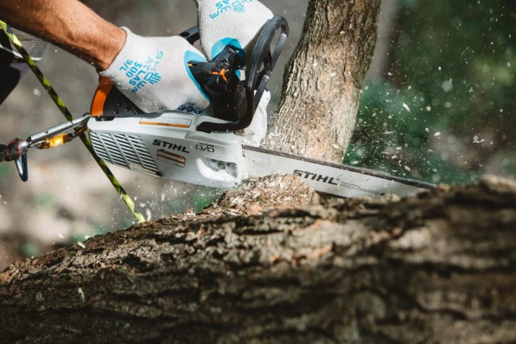 ms-194-T-stihl.jpg