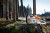 ms-201-pilarka-stihl-promocja.jpg