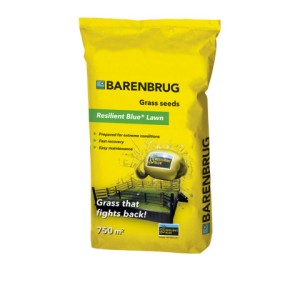 Trawa Barenbrug Na Suszę Resilient Blue Tough & Easy 15kg  