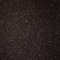 images (2).jpeg