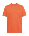 img - 2026-08-21T111048.390.jpg