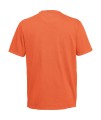 img - 2026-08-21T111051.286.jpg