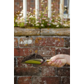 20499_0a32d6c1.768x768.png