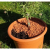 76455_9b1e9d19.768x768_converted.png