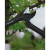 143760_f01a437c.768x768_converted.png