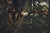 img - 2026-09-18T103752.064.jpg