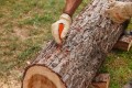 img - 2026-09-18T142716.683.jpg