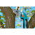 51431_a527bee2.768x768_converted.png