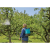 38937_17d35a2b.768x768_converted.png